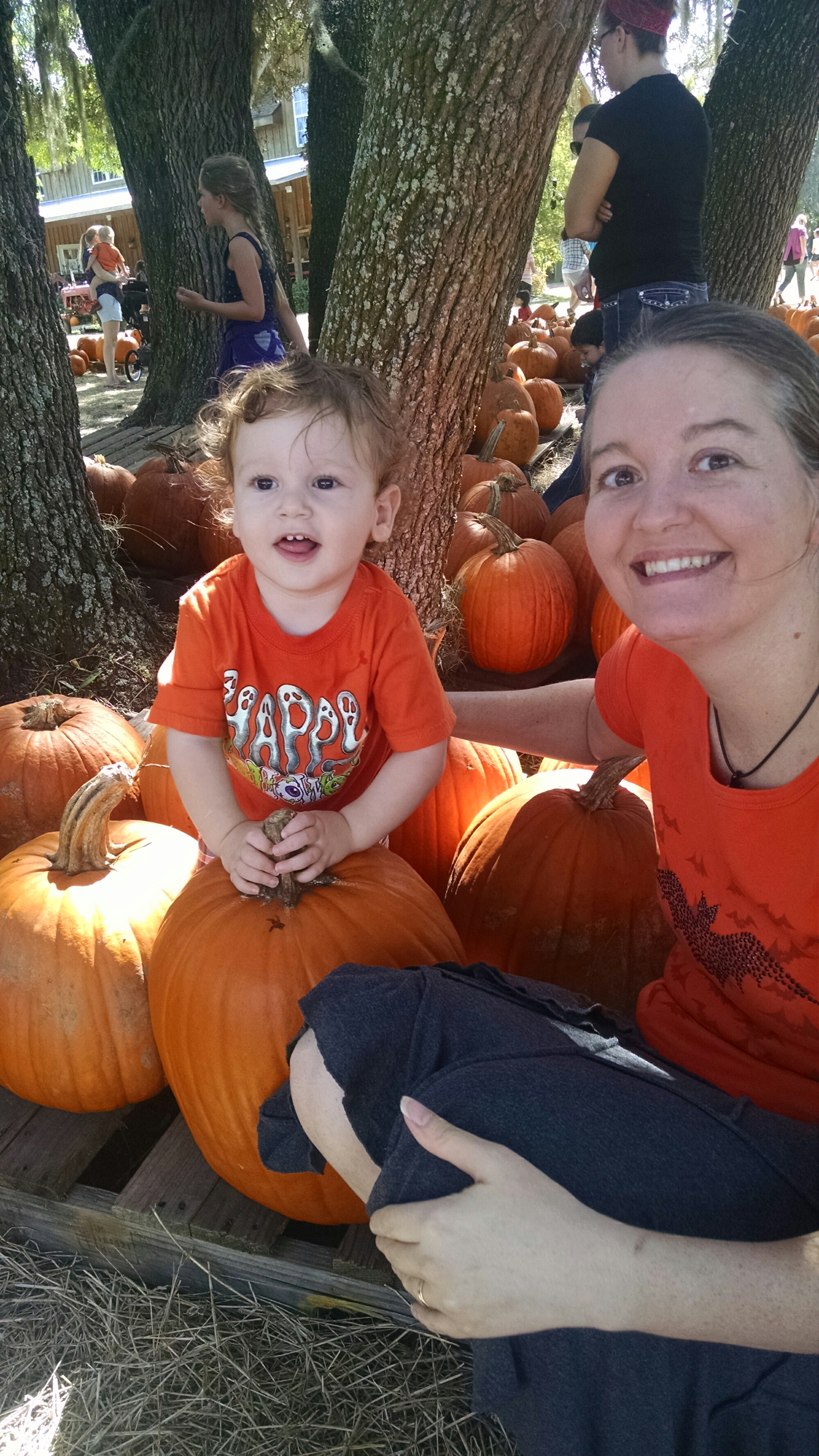 IMG_20151019_122230921.jpg image