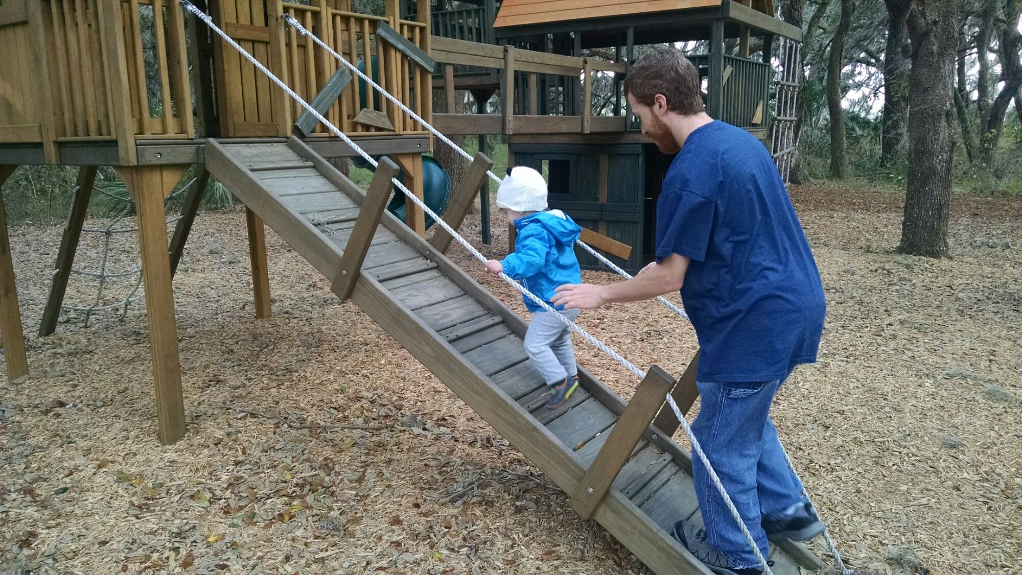 wp-1455733361761 image