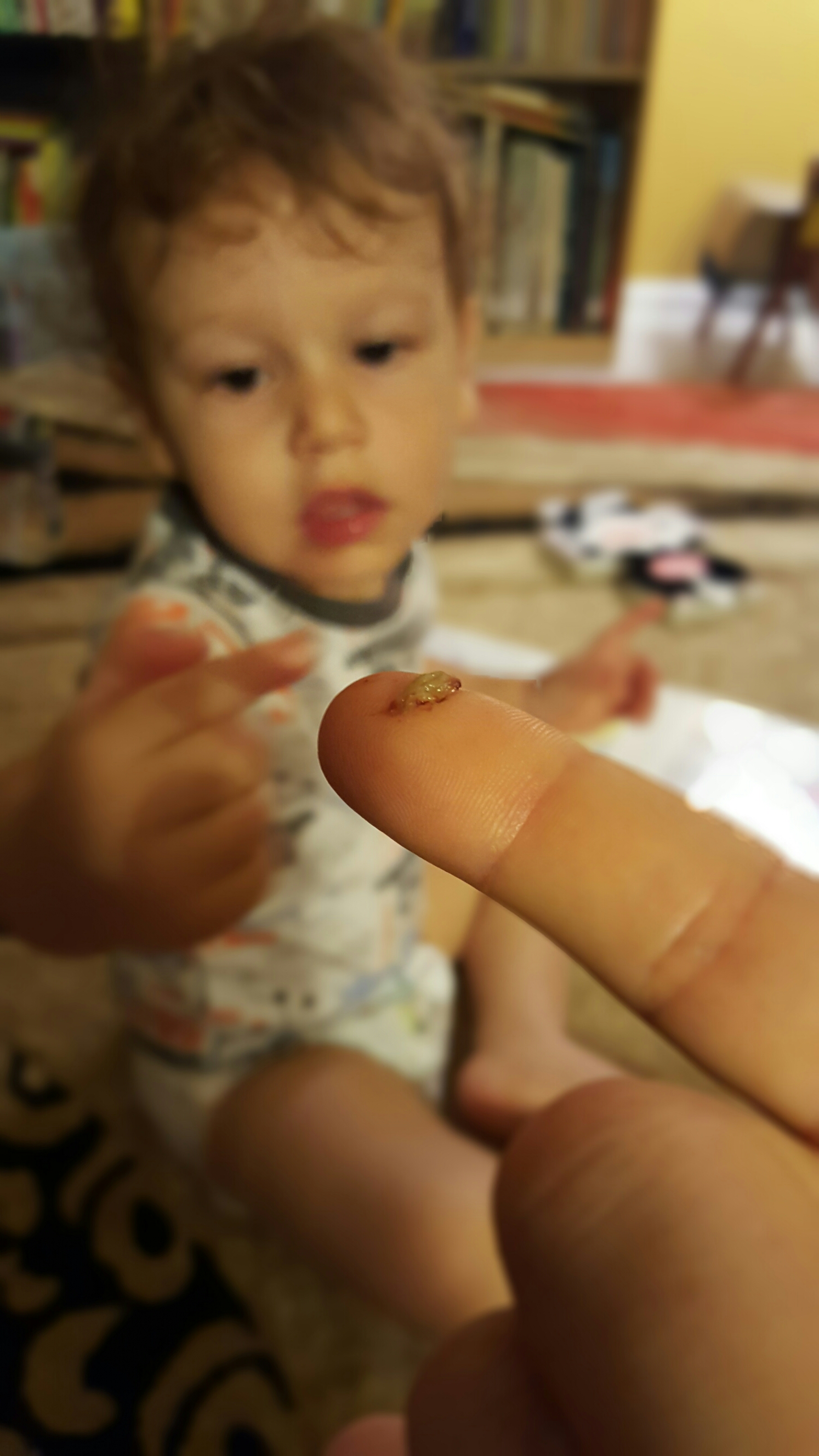 wp-1458213790309 image