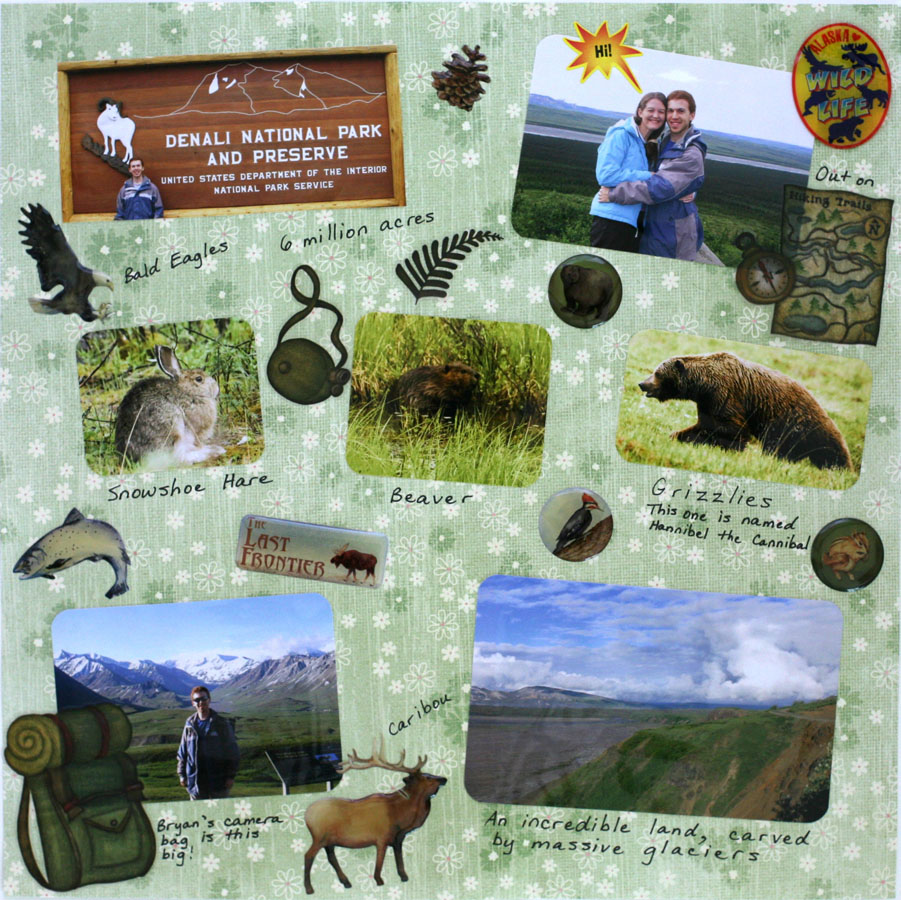 Wildlife of Denali