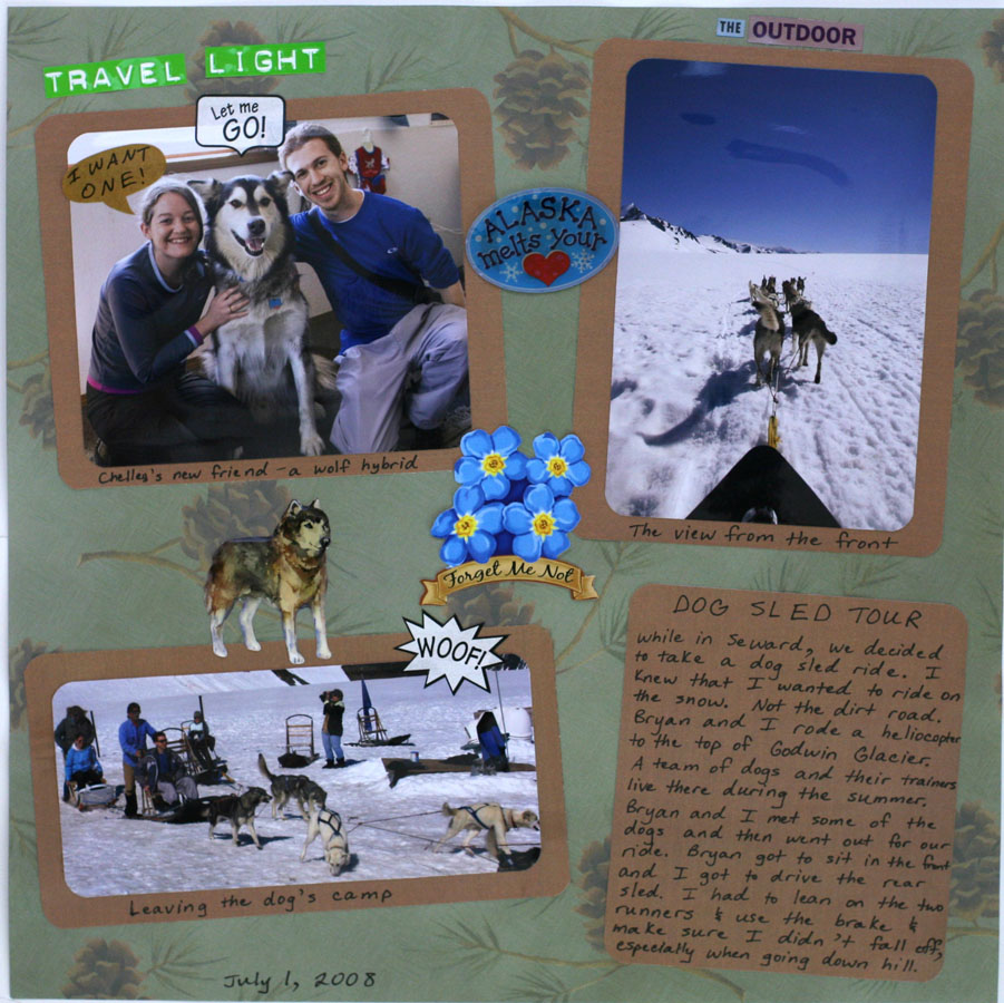 Dog Sled Tour