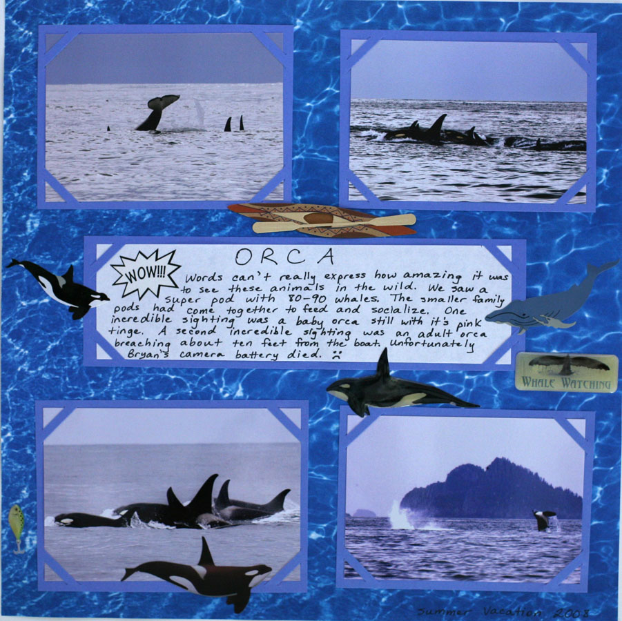 Whales, Whales, Whales