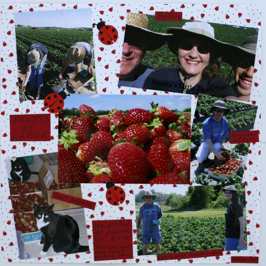 Strawberries, strawberries, strawberries…